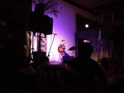 ���J�^���̖͗l