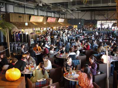 ���J�^���̖͗l