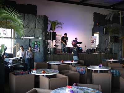 ���J�^���̖͗l